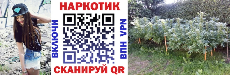 Галлюциногенные грибы Саяногорск