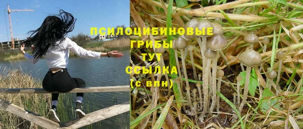 ПСИЛОЦИБИНОВЫЕ ГРИБЫ Беломорск