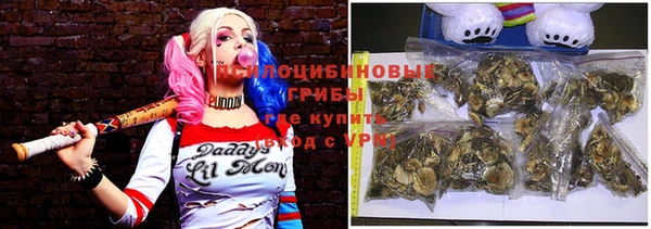 ПСИЛОЦИБИНОВЫЕ ГРИБЫ Беломорск