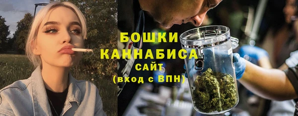 PSILOCYBIN Рославль
